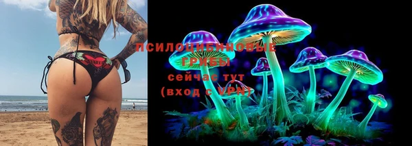 сатива Баксан