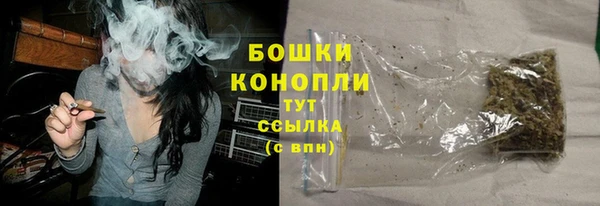 сатива Баксан