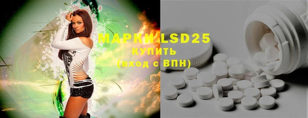ГАЛЛЮЦИНОГЕННЫЕ ГРИБЫ Балабаново