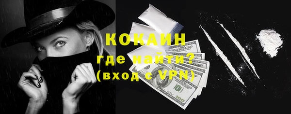 шишки Балахна