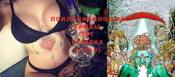 шишки Балахна