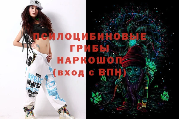 сатива Баксан