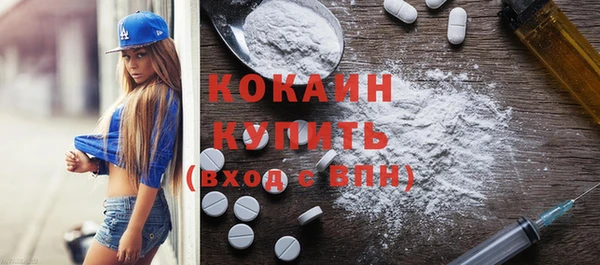 шишки Балахна