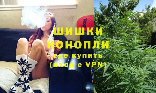 сатива Баксан