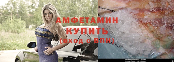 шишки Балахна